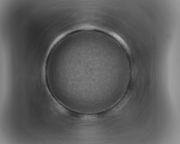 X0000113251183200909101422