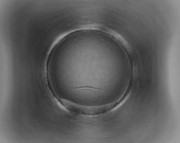 X0000113251184200909101422