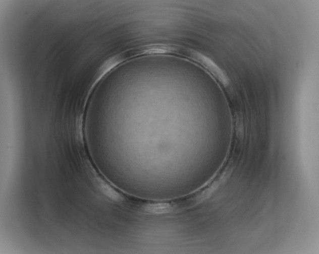X0000113251186200909101422
