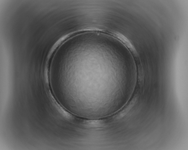 X0000113251188200909101422