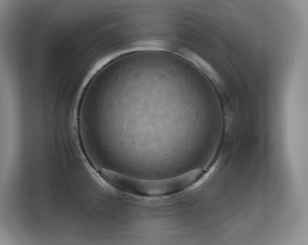 X0000113251192200909101422