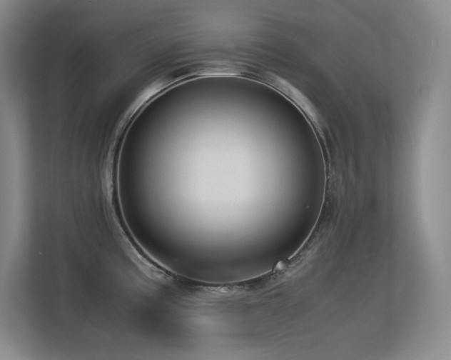 X0000113251195200909101422
