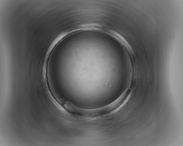 X0000113251196200909101422