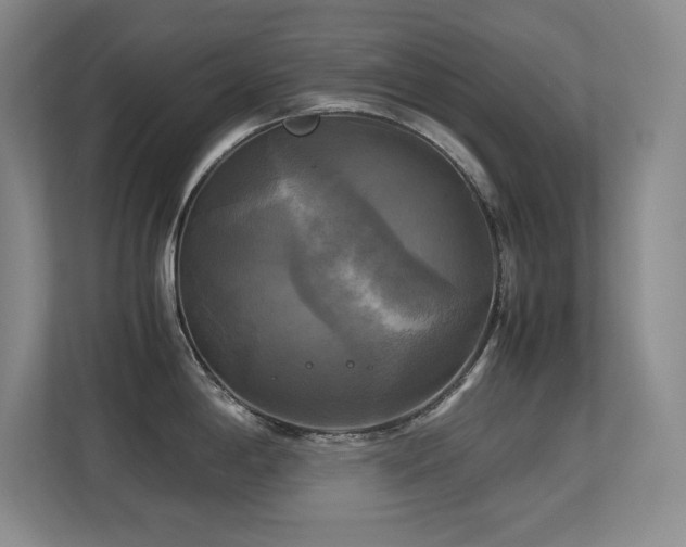X0000113251198200909101422