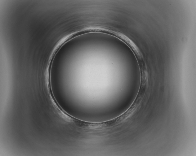 X0000113251199200909101422