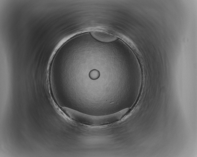 X0000113251200200909101422