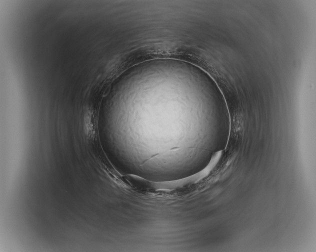 X0000113251202200909101421
