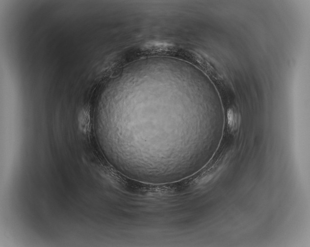 X0000113251203200909101421