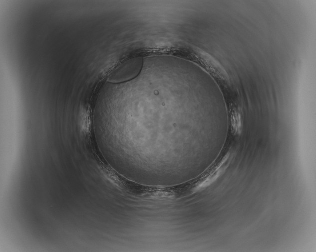 X0000113251204200909101421
