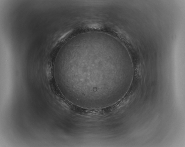 X0000113251205200909101421