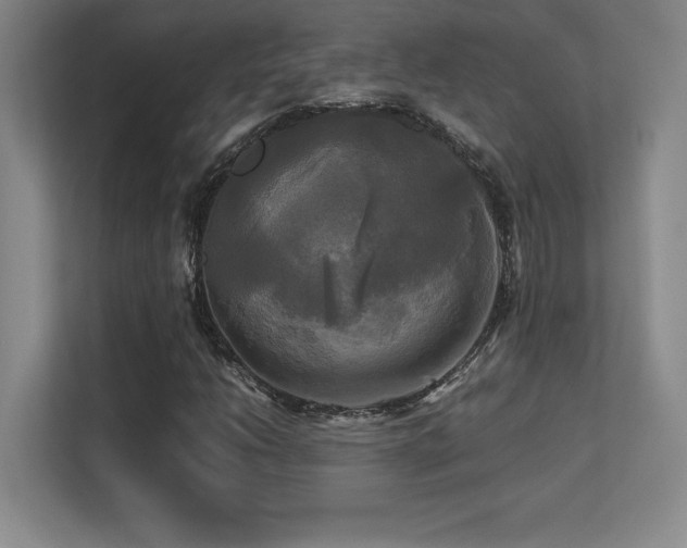 X0000113251206200909101421