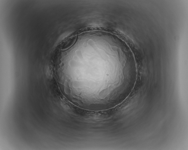 X0000113251207200909101421