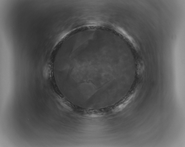 X0000113251208200909101421