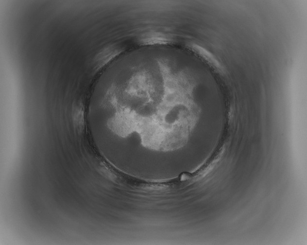 X0000113251209200909101421