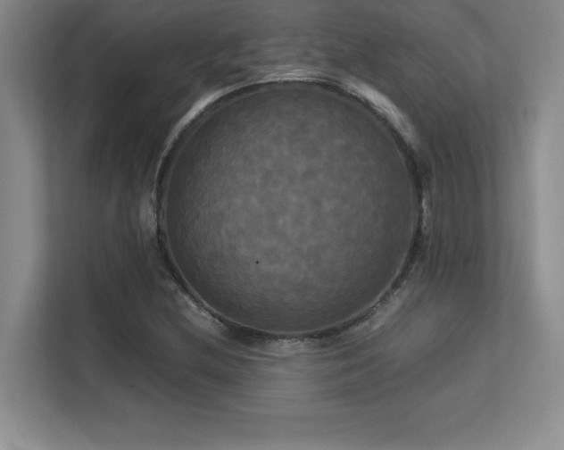 X0000113251212200909101421