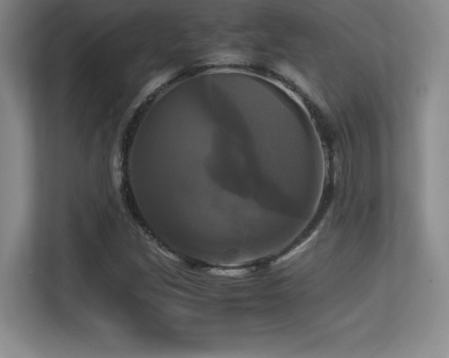 X0000113251213200909101421