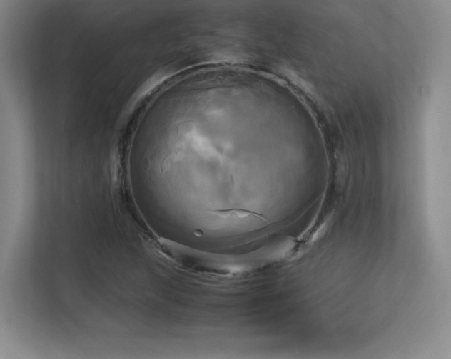 X0000113251215200909101421