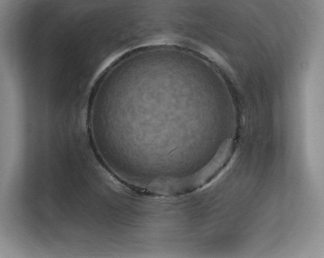 X0000113251216200909101421