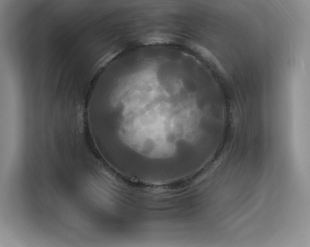 X0000113251217200909101421