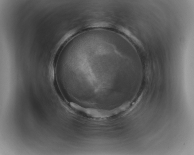 X0000113251221200909101421