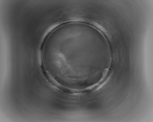X0000113251223200909101422