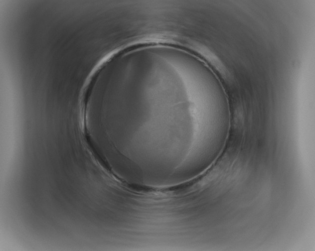 X0000113251224200909101422