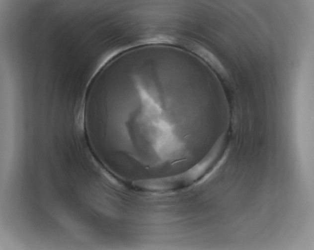 X0000113251228200909101422