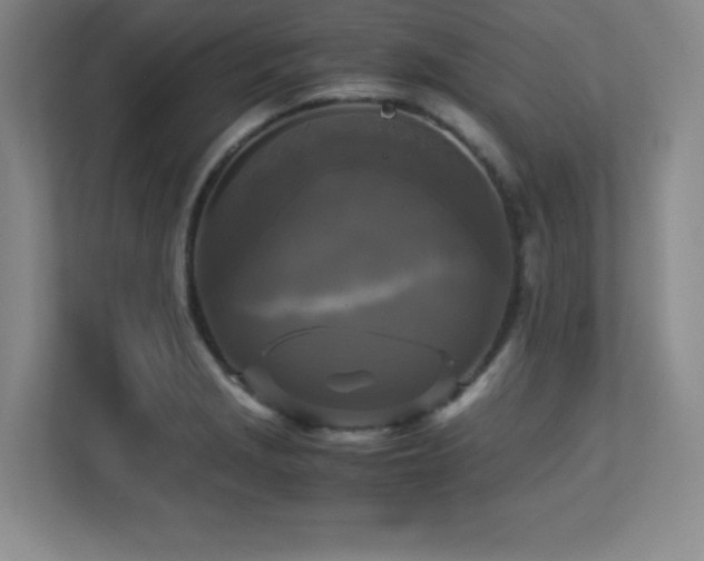 X0000113251229200909101422