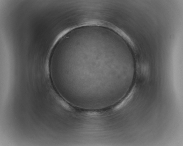 X0000113251230200909101422