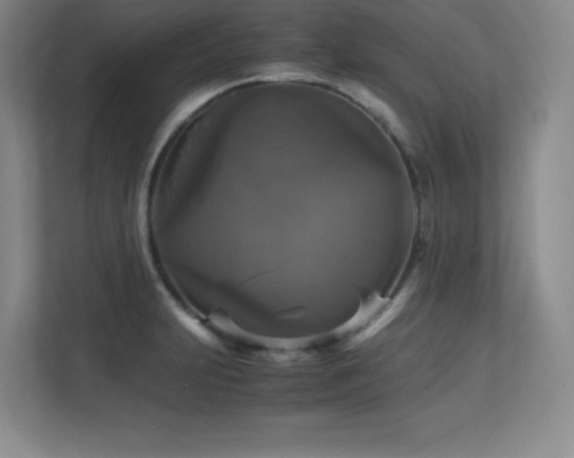 X0000113251231200909101422