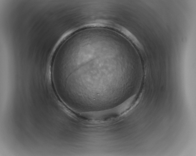 X0000113251232200909101422