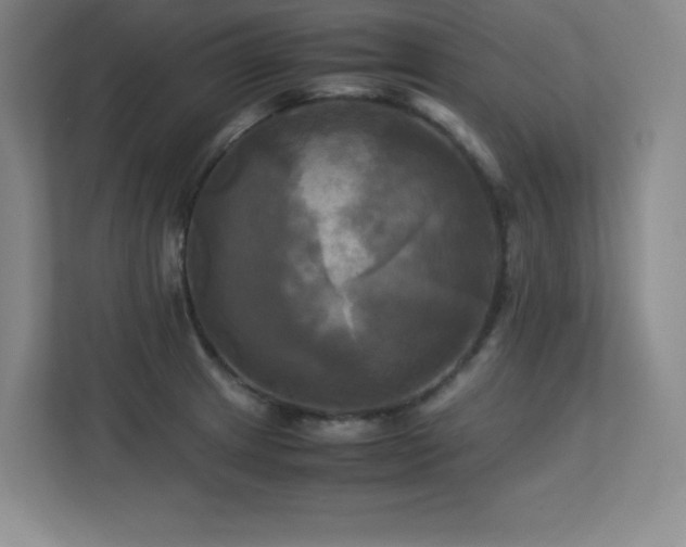 X0000113251233200909101422