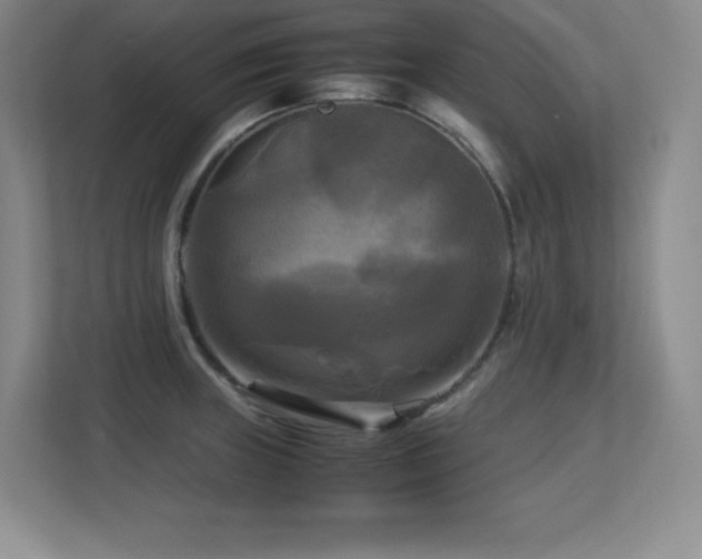 X0000113251235200909101422