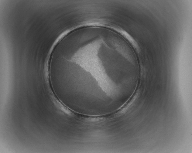 X0000113251240200909101422