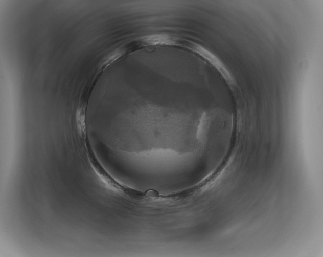 X0000113251241200909101422