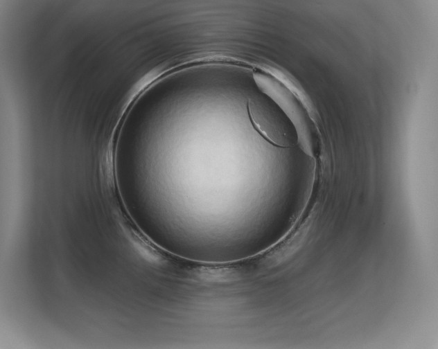 X0000113251242200909101422
