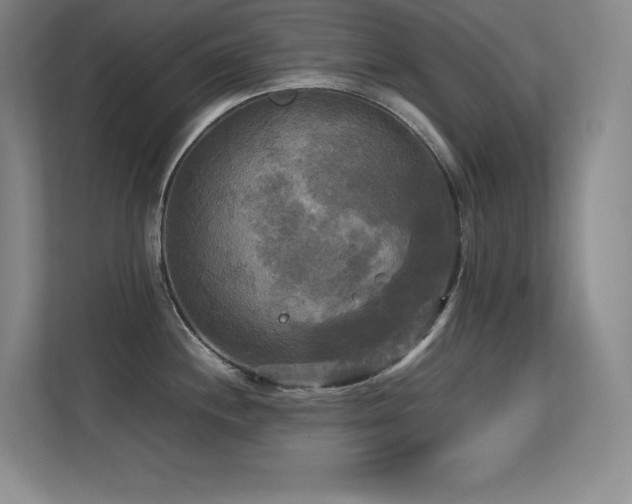 X0000113251244200909101422