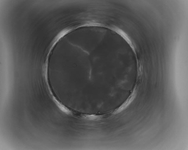 X0000113251245200909101422