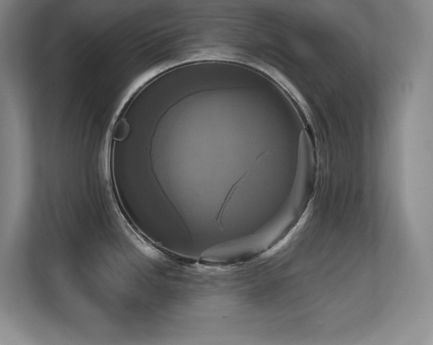 X0000113251246200909101422