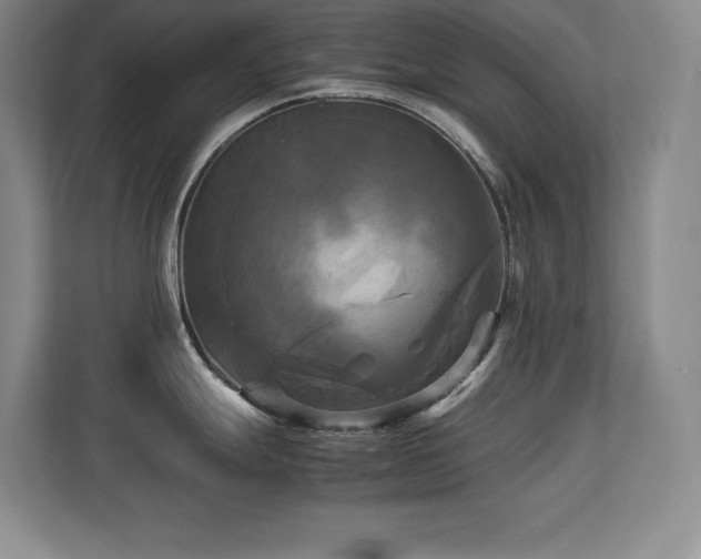 X0000113251247200909101422