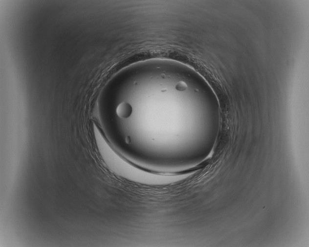 X0000113251249200909101421