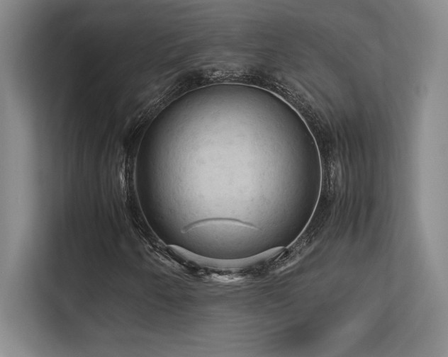 X0000113251250200909101421