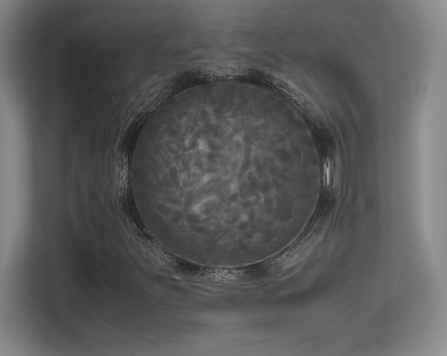 X0000113251251200909101421