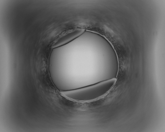 X0000113251253200909101421
