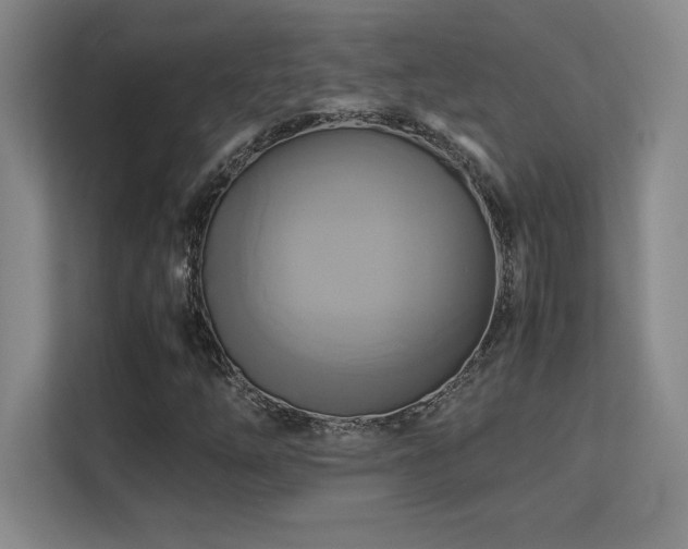 X0000113251254200909101421
