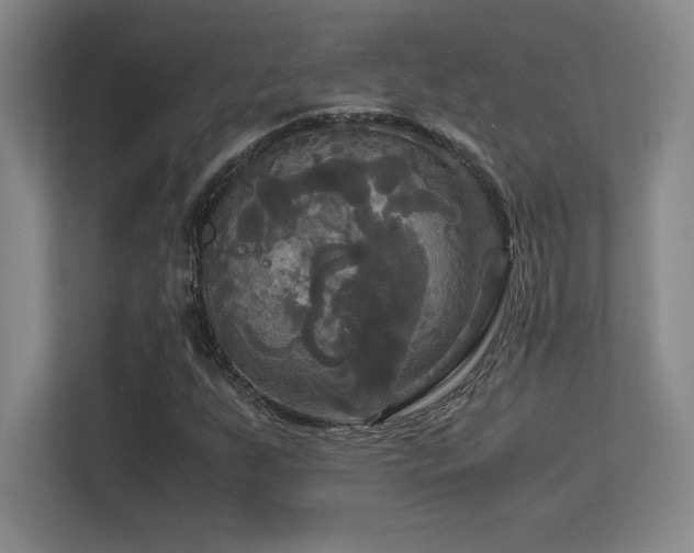 X0000113251255200909101421