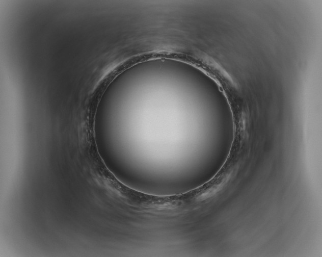 X0000113251256200909101421