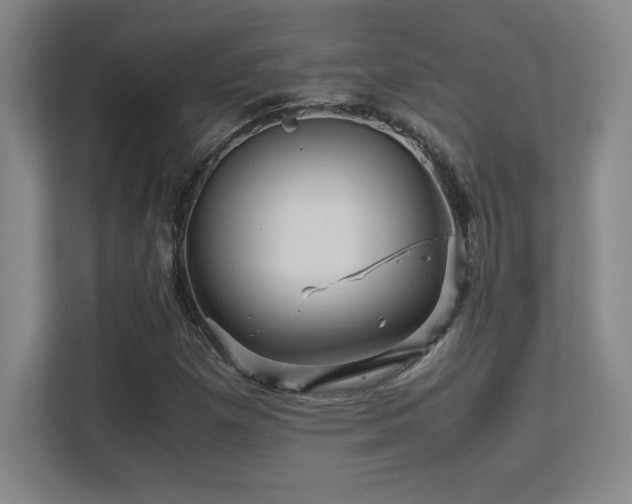 X0000113251257200909101421
