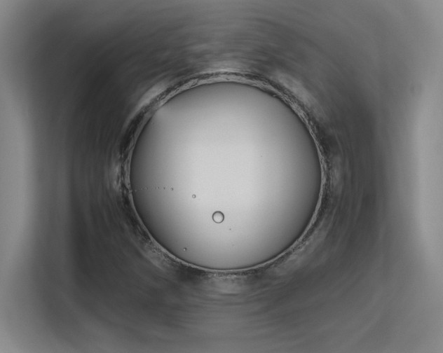 X0000113251258200909101421