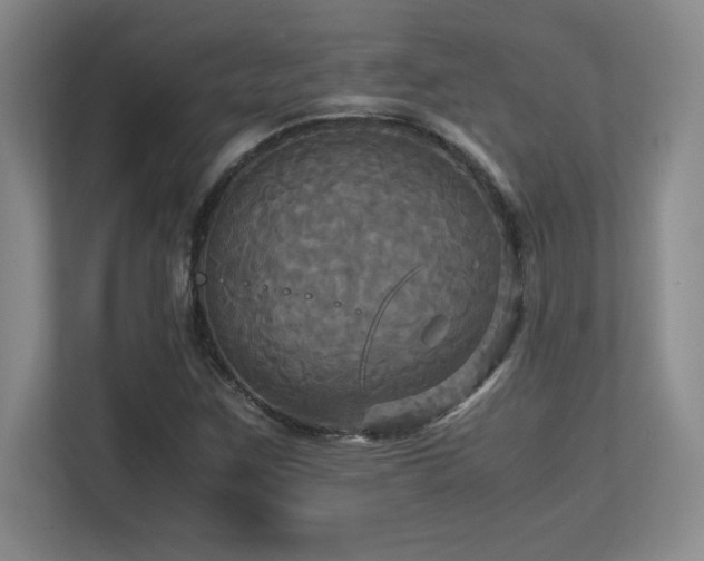 X0000113251259200909101421